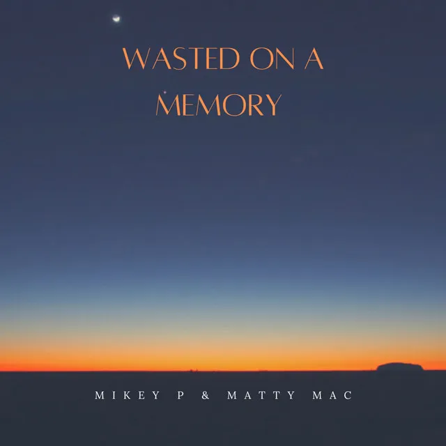 Wasted on a Memory