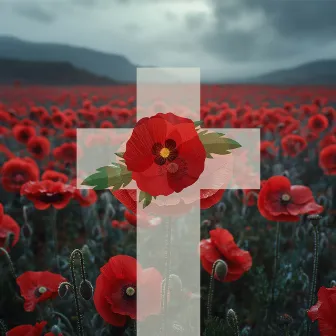 Cross of The Brave Flanders Field by US Army