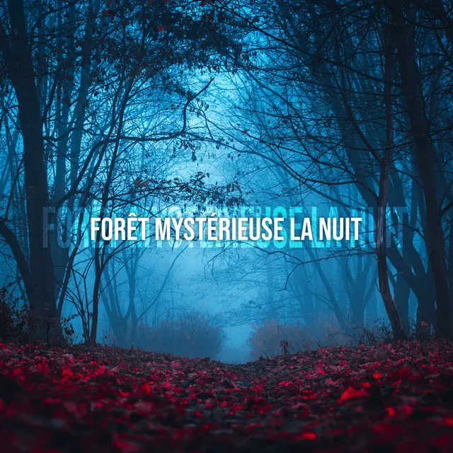 Forêt mystérieuse la nuit: Méditation avec la nature, Proche de la nature, Sons nocturnes apaisants, Bruits d'animaux