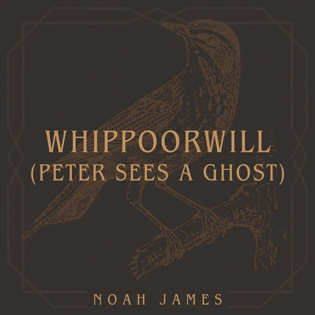 Whippoorwill (Peter Sees a Ghost) (Live)