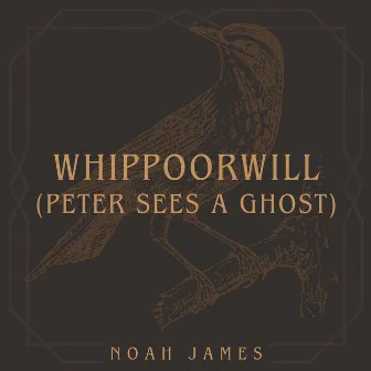 Whippoorwill (Peter Sees a Ghost) (Live) by Noah James