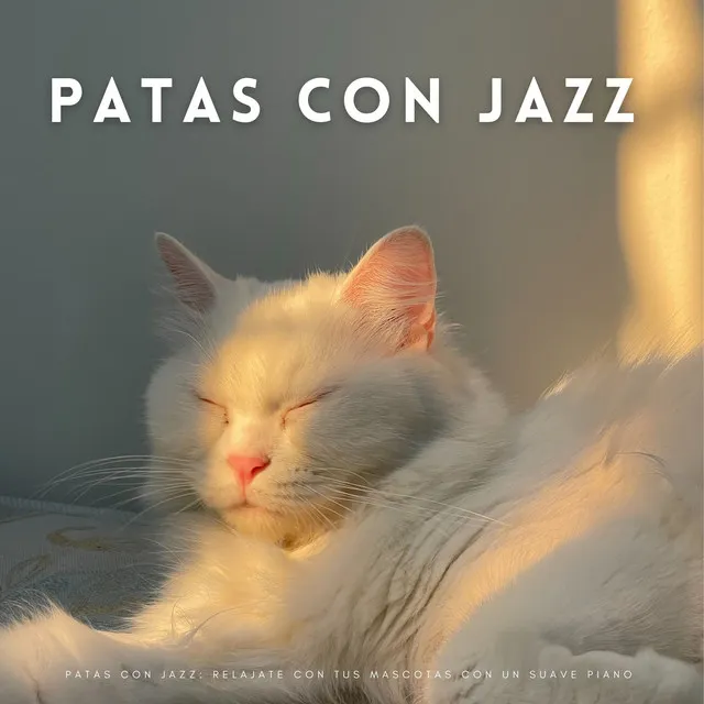 Bigotes Se Contrae Con Las Melodías De Jazz