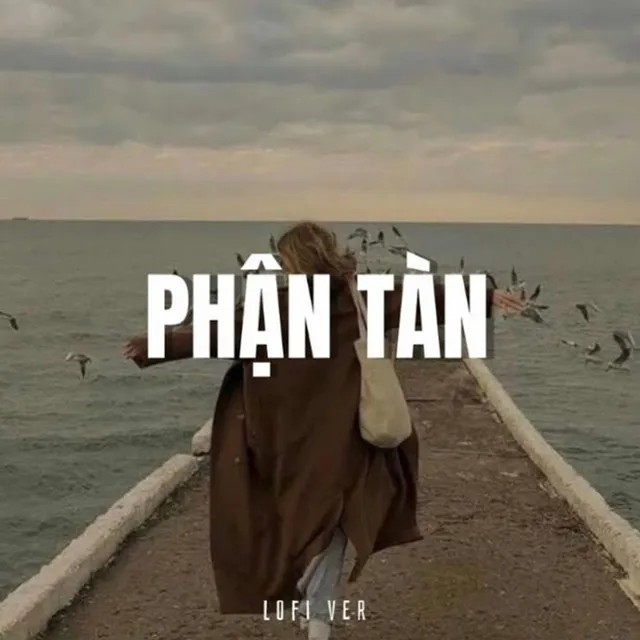 Phận Tàn (Lofi)