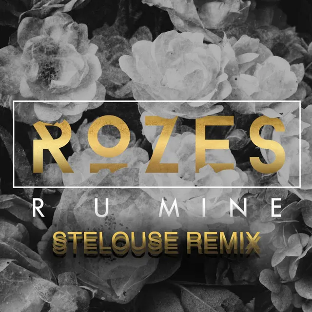 R U Mine (SteLouse Remix)