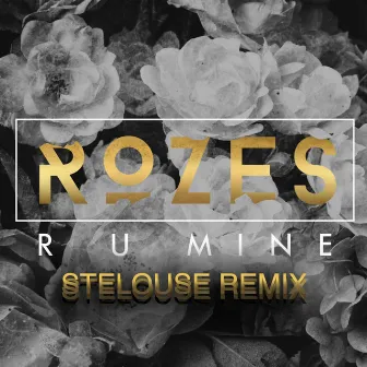 R U Mine (SteLouse Remix) by StayLoose