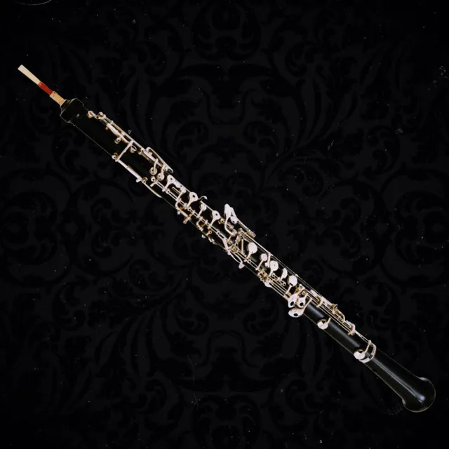 Gabriel's Oboe (Sean's Orchestra)