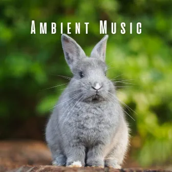 Ambient Music: Gentle Journeys with Pets by Angelic Planet