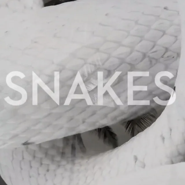 Snakes