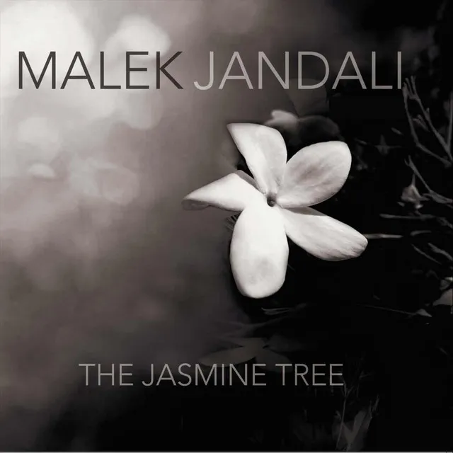 The Jasmine Tree