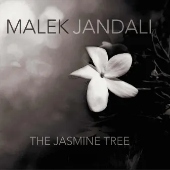 The Jasmine Tree by Malek Jandali