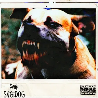 Svge Dog by Svnji