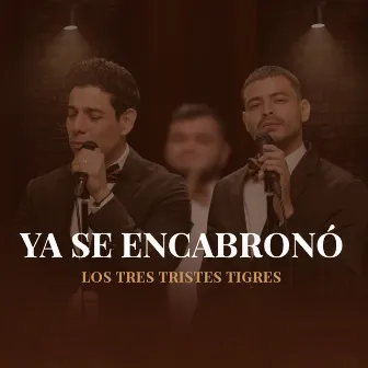 Ya Se Encabronó by Los Tres Tristes Tigres