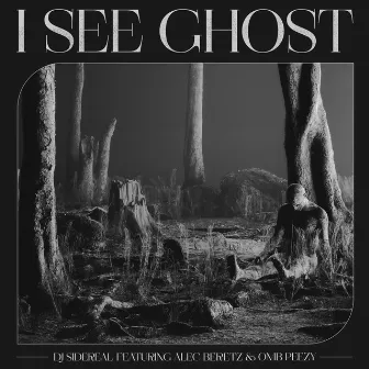 I SEE GHOST by DJ Sidereal