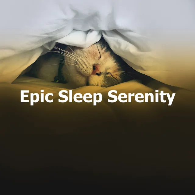 Epic Sleep Serenity