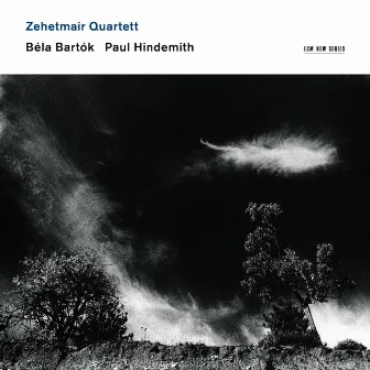 Bartók: Streichquartett No. 5 / Hindemith: Streichquartett No. 4 by Zehetmair Quartett