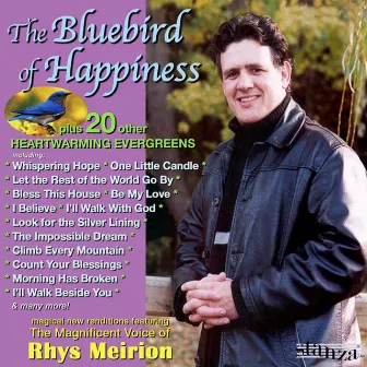 The Bluebird of Happiness by Rhys Meirion