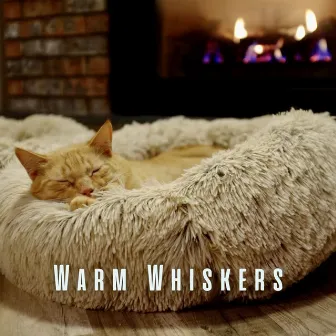 Warm Whiskers: Comforting Crackling Bonfire Sounds for Cats by Sleepy Cat