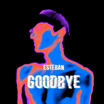 Goodbye by Esteban