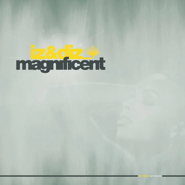 Magnificent - Justin Martin Remix