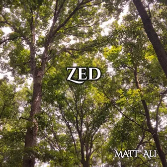 Zed by Matt Ali