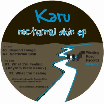 Nocturnal Skin EP by Karu