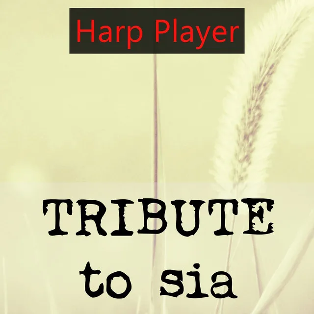 Tribute to Sia