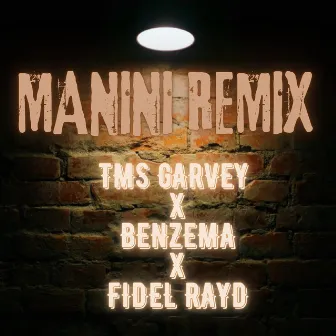 MANINI [REMIX (II)] by TMS GARVEY