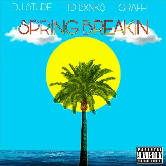 Springbreakin by DJ Stude