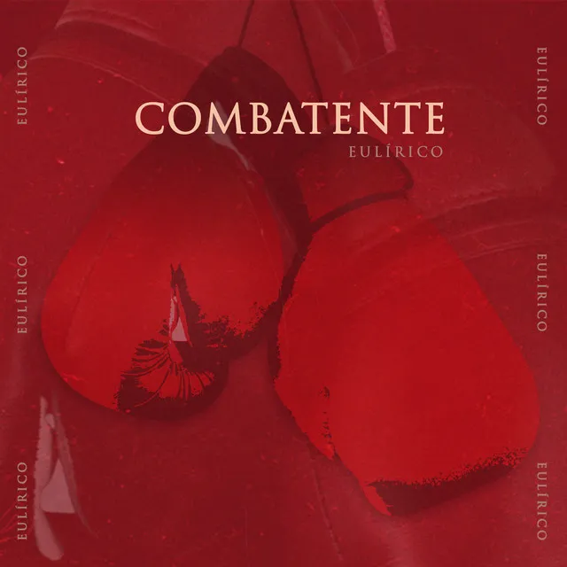 Combatente