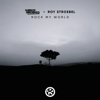 Rock My World by Roy Stroebel