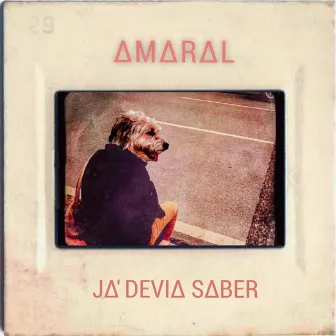 Já Devia Saber by Amaral Oficial