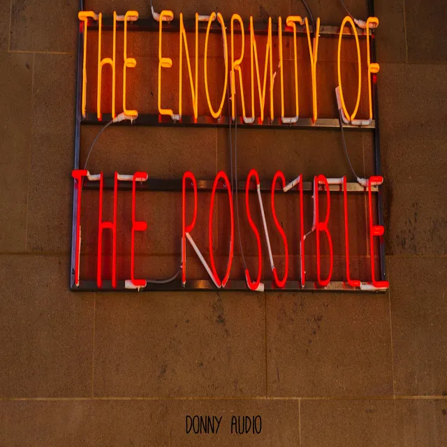 The Enormity of the Possible