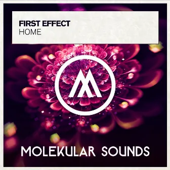 Home by First Effect