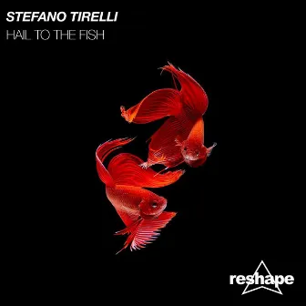 Hail To The Fish by Stefano Tirelli