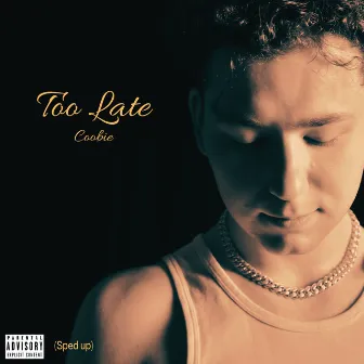 Too Late (Sped Up) by Coobie