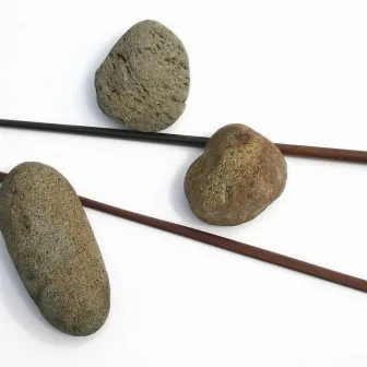 Sticks and Stones by Pwc Unknown