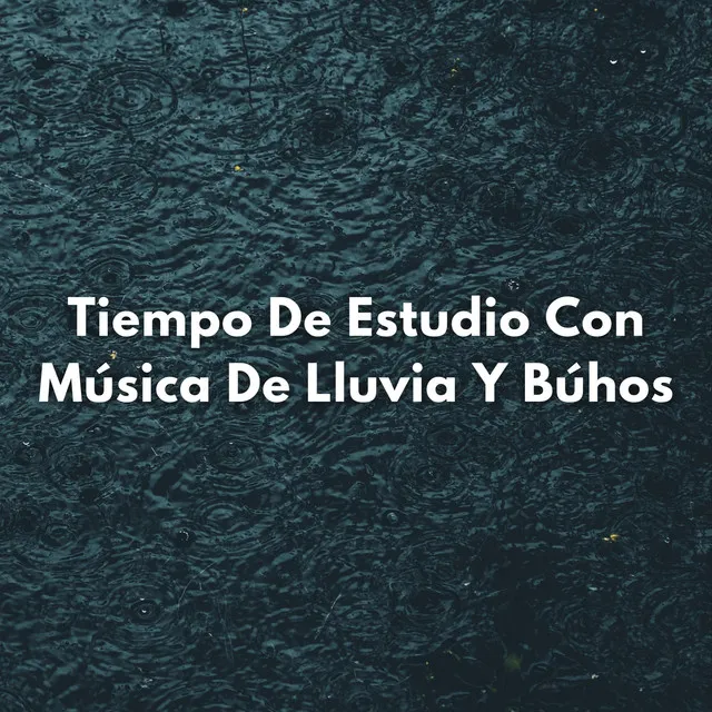 Tiempo De Estudio Con Música De Lluvia Y Búhos