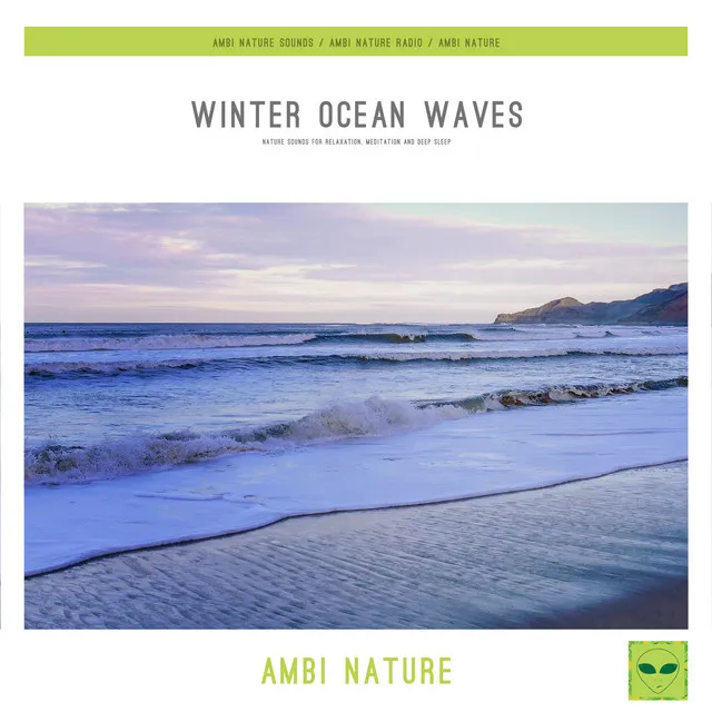 The Sound of Winter Sea Waves