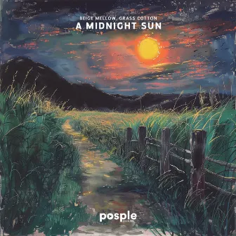 A Midnight Sun by GRASS COTTON