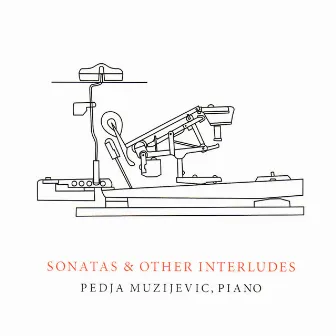 Sonatas and Other Interludes by Pedja Muzijevic