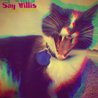 Say Willis by Nathan James