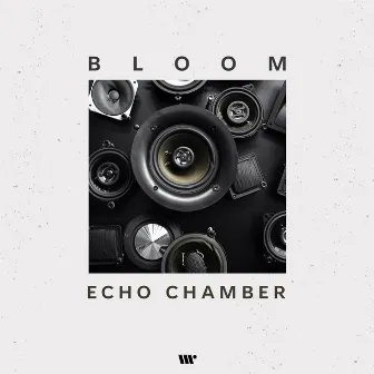 Echo Chamber by bloom