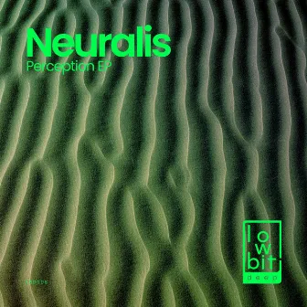 Perception by Neuralis