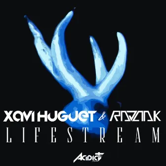 Lifestream by Xavi Huguet