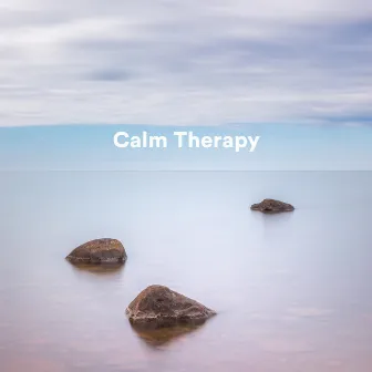 Calm Therapy by Namaste