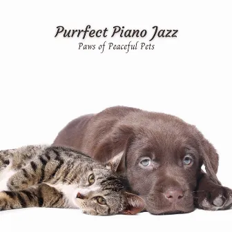 Purrfect Piano Jazz: Paws of Peaceful Pets by Piano Radiance