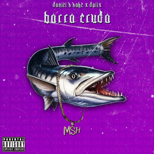 Barra Cruda