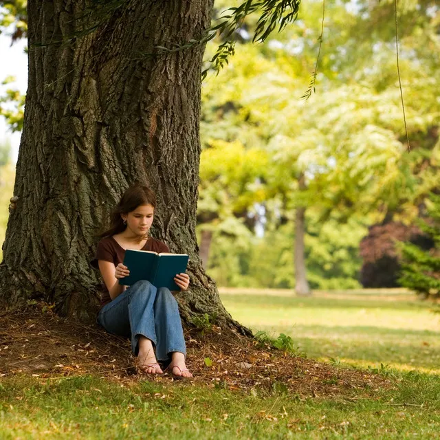 Trance Texts: Study Meditation Music in Gentle Rain