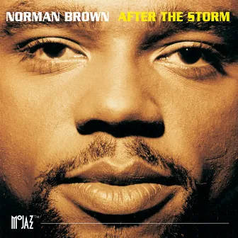 After The Storm by Norman Brown