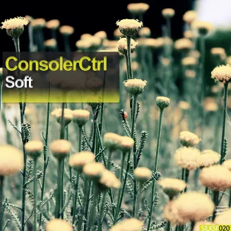 Soft by ConsolerCtrl